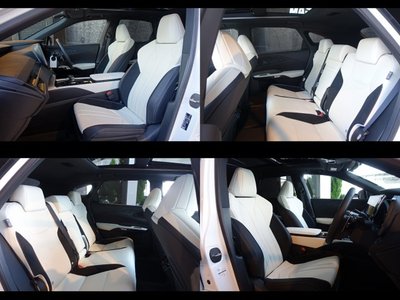 2025 Lexus RX thumbnail 17