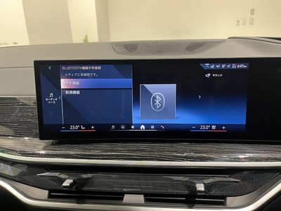 2023 BMW X7 thumbnail 29