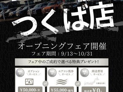 1997 Toyota MEGA CRUISER 照片 2