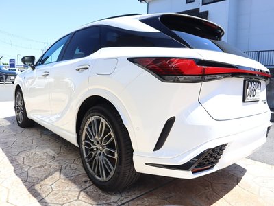 2025 Lexus RX photo 5