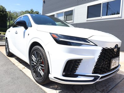 2025 Lexus RX photo 3