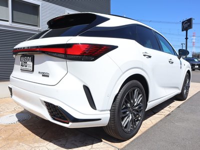 2025 Lexus RX photo 7