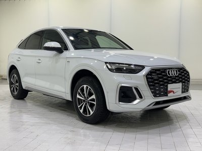 2025 AUDI Q5 SPORTBACK 缩略图 119