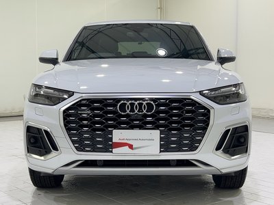2025 AUDI Q5 SPORTBACK 缩略图 120