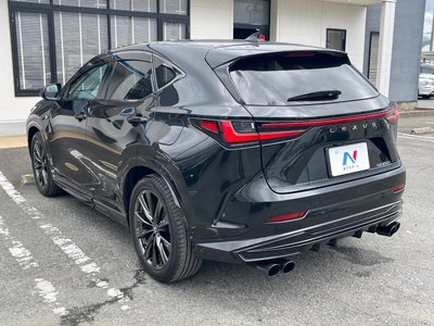 2024 Lexus NX 照片 74