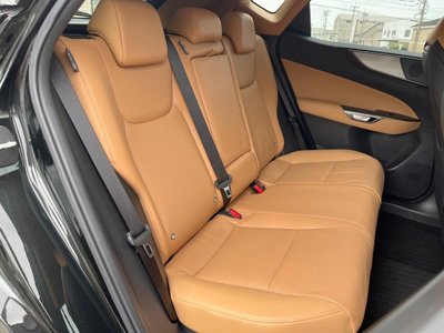 2024 Lexus NX 照片 14