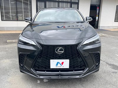 2024 Lexus NX 照片 46