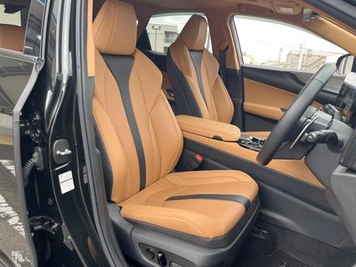 2024 Lexus NX 照片 13