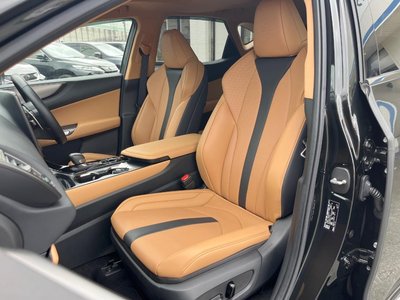 2024 Lexus NX 照片 33