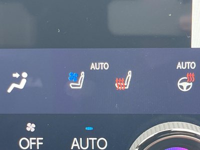 2024 Lexus NX 照片 12