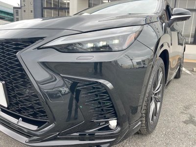 2024 Lexus NX 照片 16