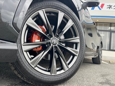2024 Lexus NX 照片 17