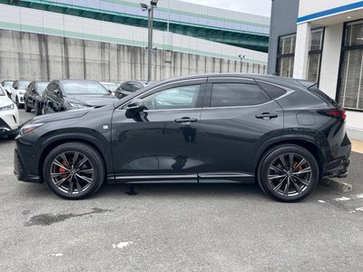 2024 Lexus NX 照片 47