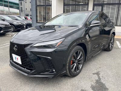 2024 Lexus NX 照片 3