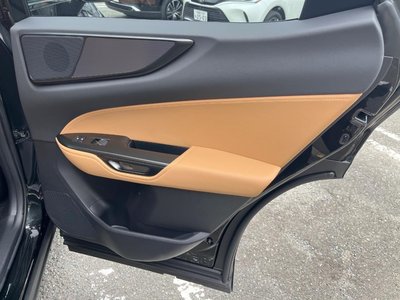 2024 Lexus NX 照片 37