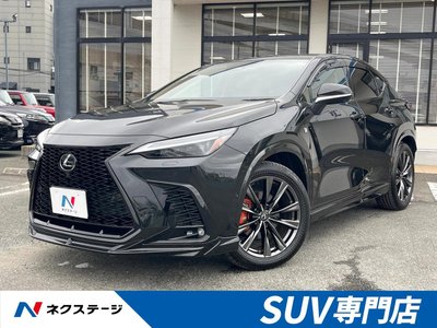 2024 Lexus NX 照片 1