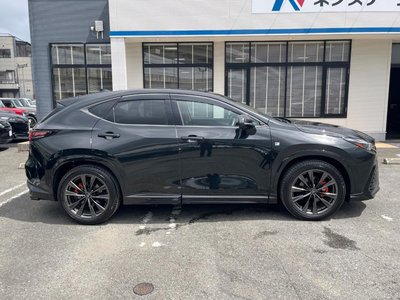 2024 Lexus NX 照片 72
