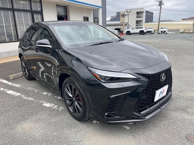 2024 Lexus NX 照片 45