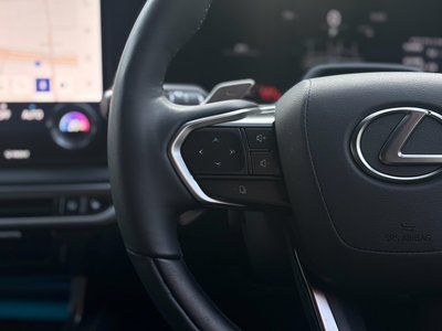 2025 Lexus RX thumbnail 28