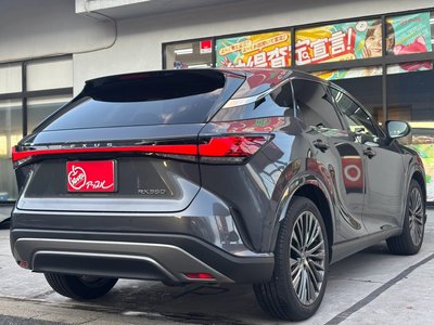 2025 Lexus RX photo 14