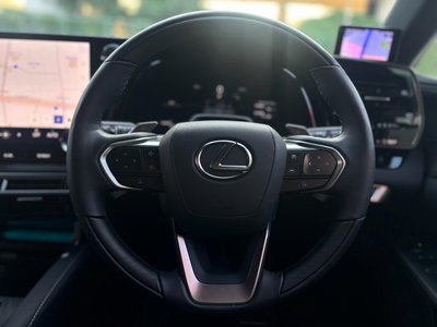 2025 Lexus RX thumbnail 27