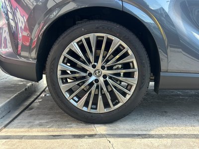 2025 Lexus RX thumbnail 49