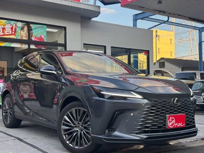 2025 Lexus RX photo 13