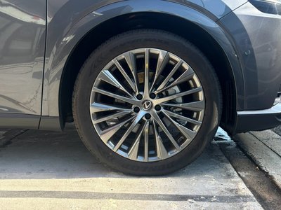 2025 Lexus RX thumbnail 50