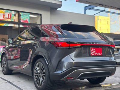 2025 Lexus RX photo 16
