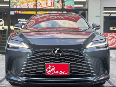 2025 Lexus RX photo 12
