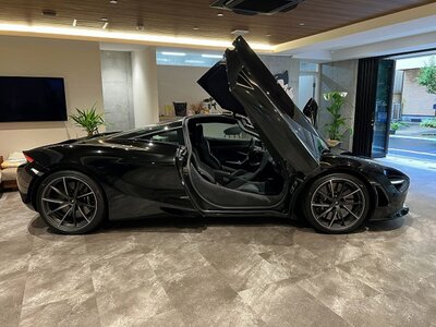 2020 Mclaren 720S 照片 17