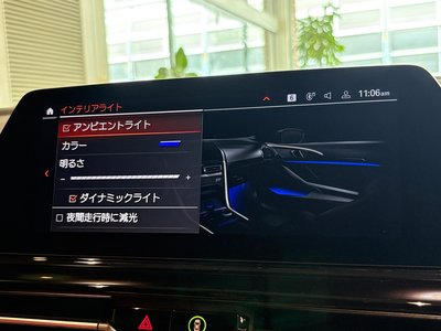 2019 BMW 8 SERIES GRAN COUPE photo 35