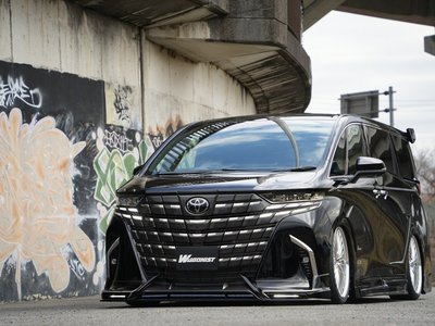 2026 Toyota ALPHARD 照片 25