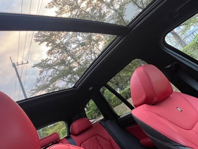 صورة 15 لـ 2019 BMW Alpina XD3