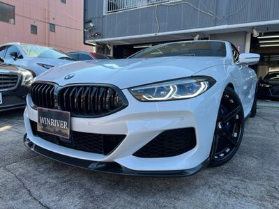 2019 BMW 8 SERIES CABRIOLET photo 1