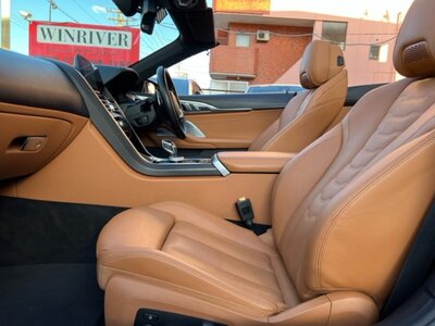 2019 BMW 8 SERIES CABRIOLET photo 65