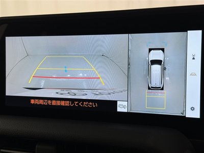 2025 Toyota LAND CRUISER 250 photo 13