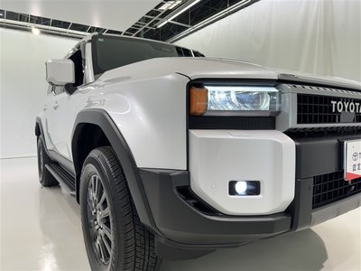 2025 Toyota LAND CRUISER 250 photo 8