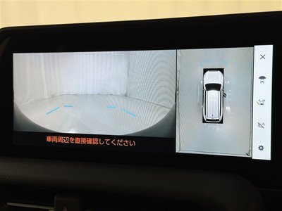 2025 Toyota LAND CRUISER 250 photo 14