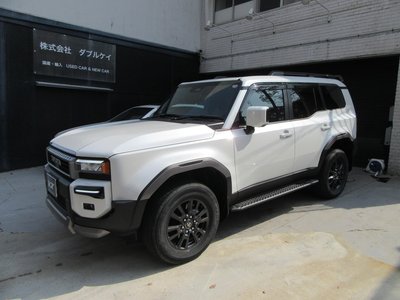2025 Toyota LAND CRUISER 250 — фото 7
