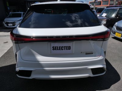 2024 Lexus RX 缩略图 6