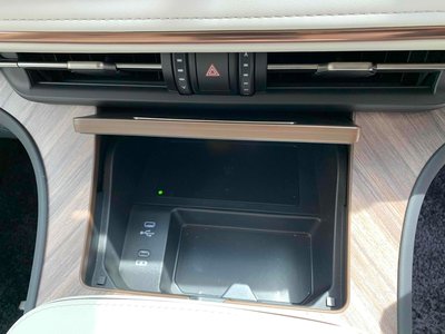 2024 Lexus LM photo 17