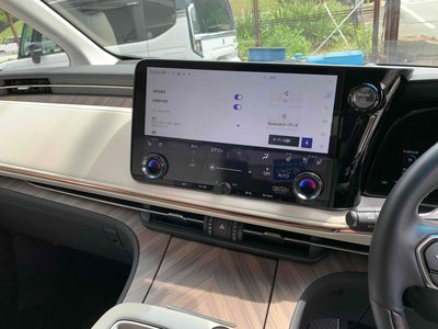 2024 Lexus LM photo 14
