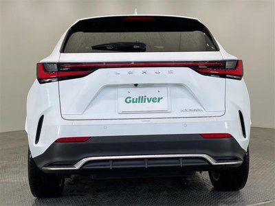 2023 Lexus NX 照片 31