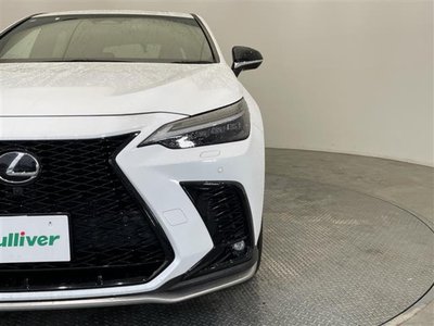 2023 Lexus NX 照片 40