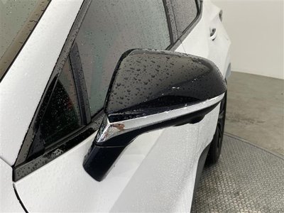 2023 Lexus NX 照片 38