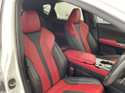 2023 Lexus NX 照片 24