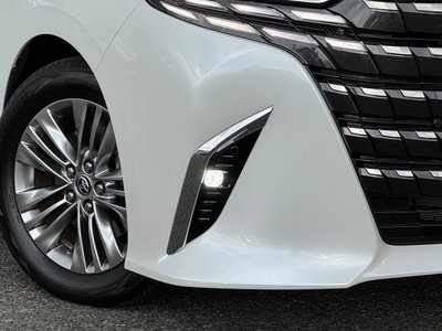 2025 Toyota ALPHARD 照片 19