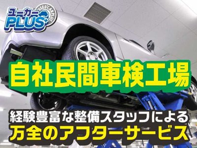 2024 Toyota ALPHARD 照片 28