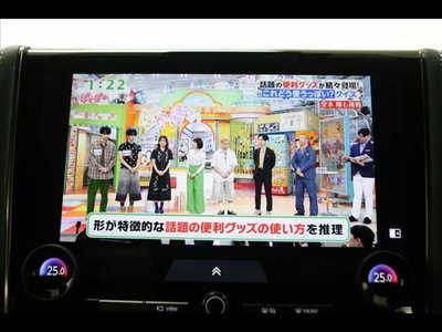 2024 Toyota ALPHARD 照片 32